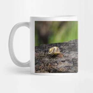 White-lipped Snail Close-up Mug